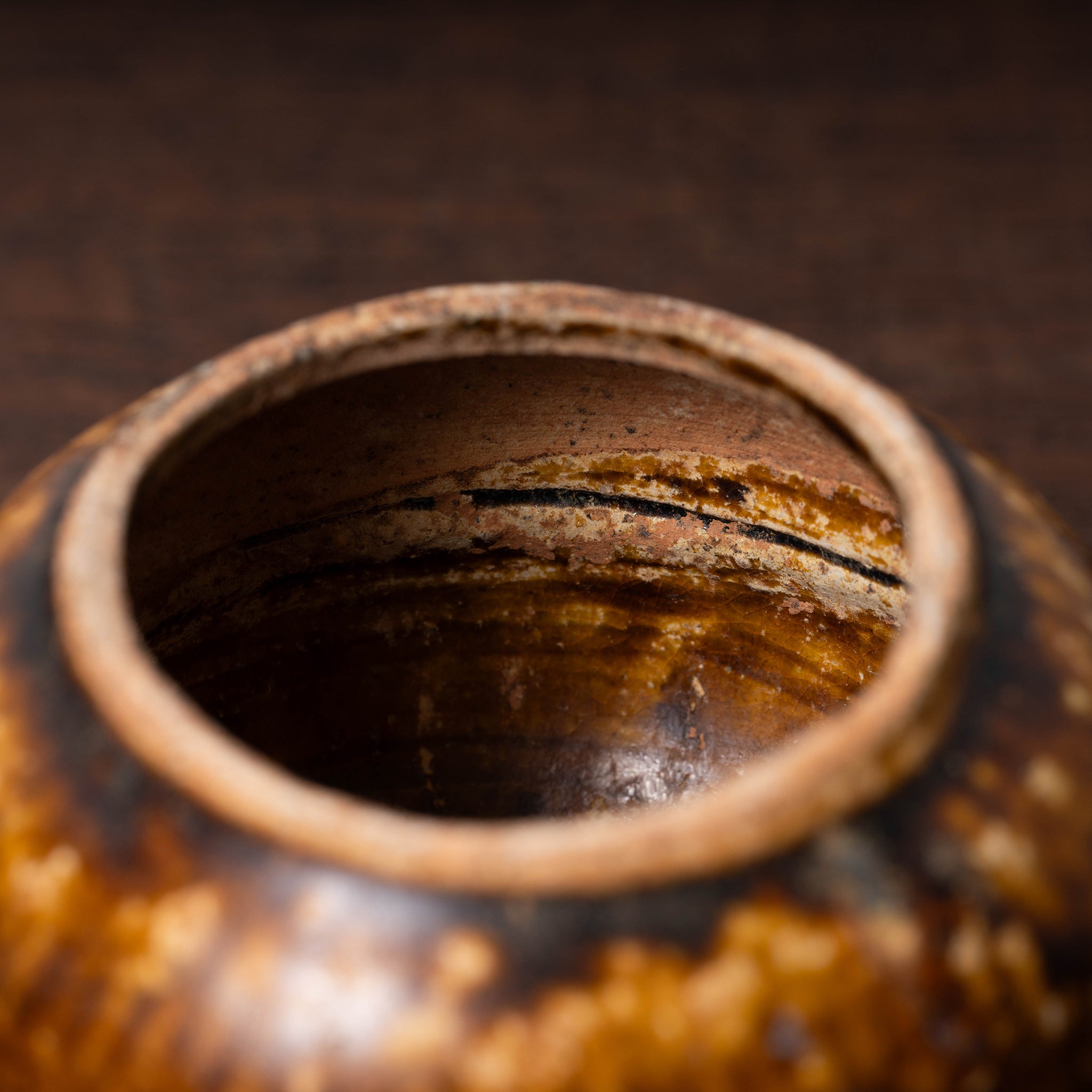 00226-23.jpg?v=1730443391&