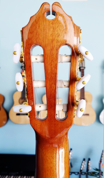 Washburn C64SCE Classical Guitar - San Marino Music Center