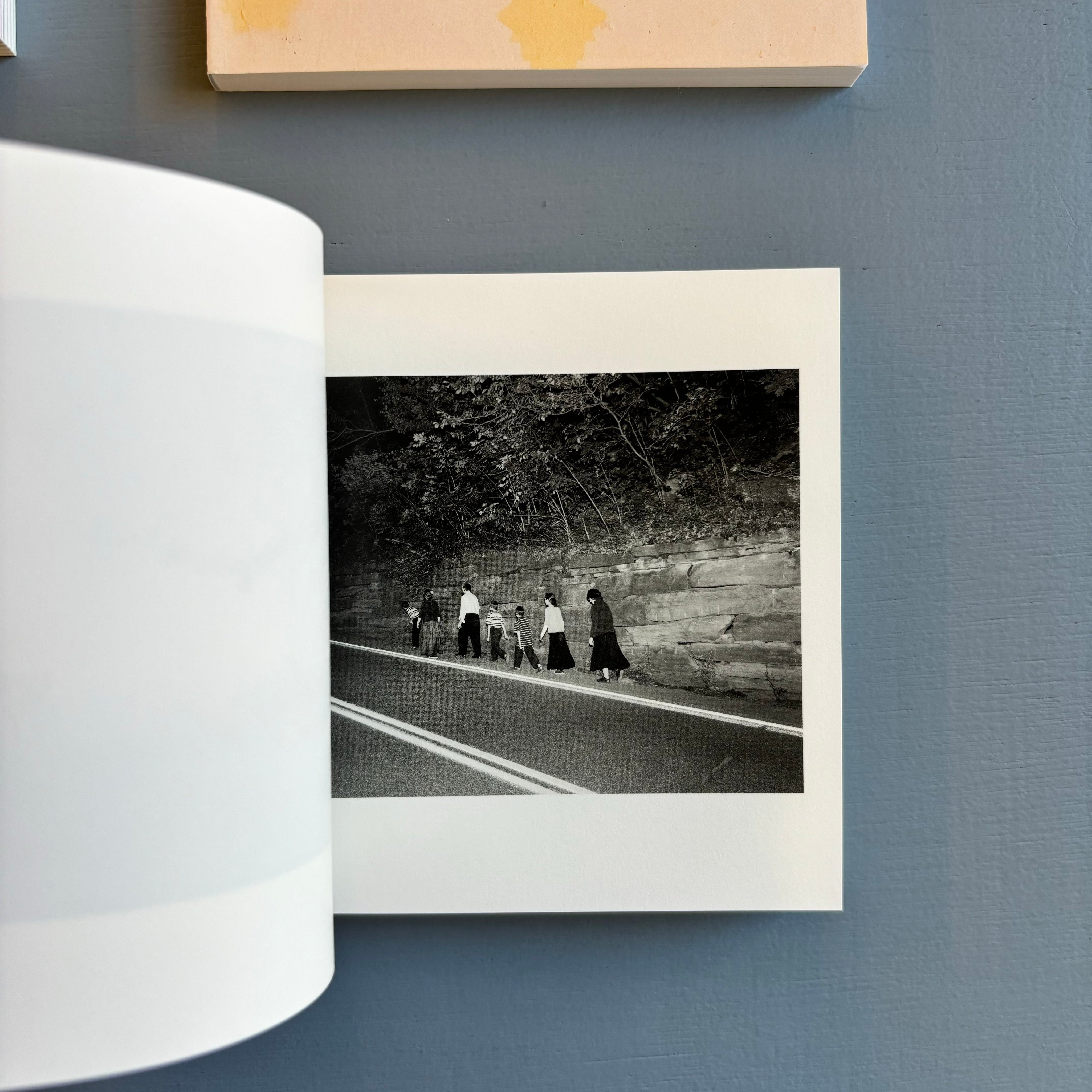 Alec Soth - Gathered Leaves - Mack 2015 - Saint-Martin Bookshop