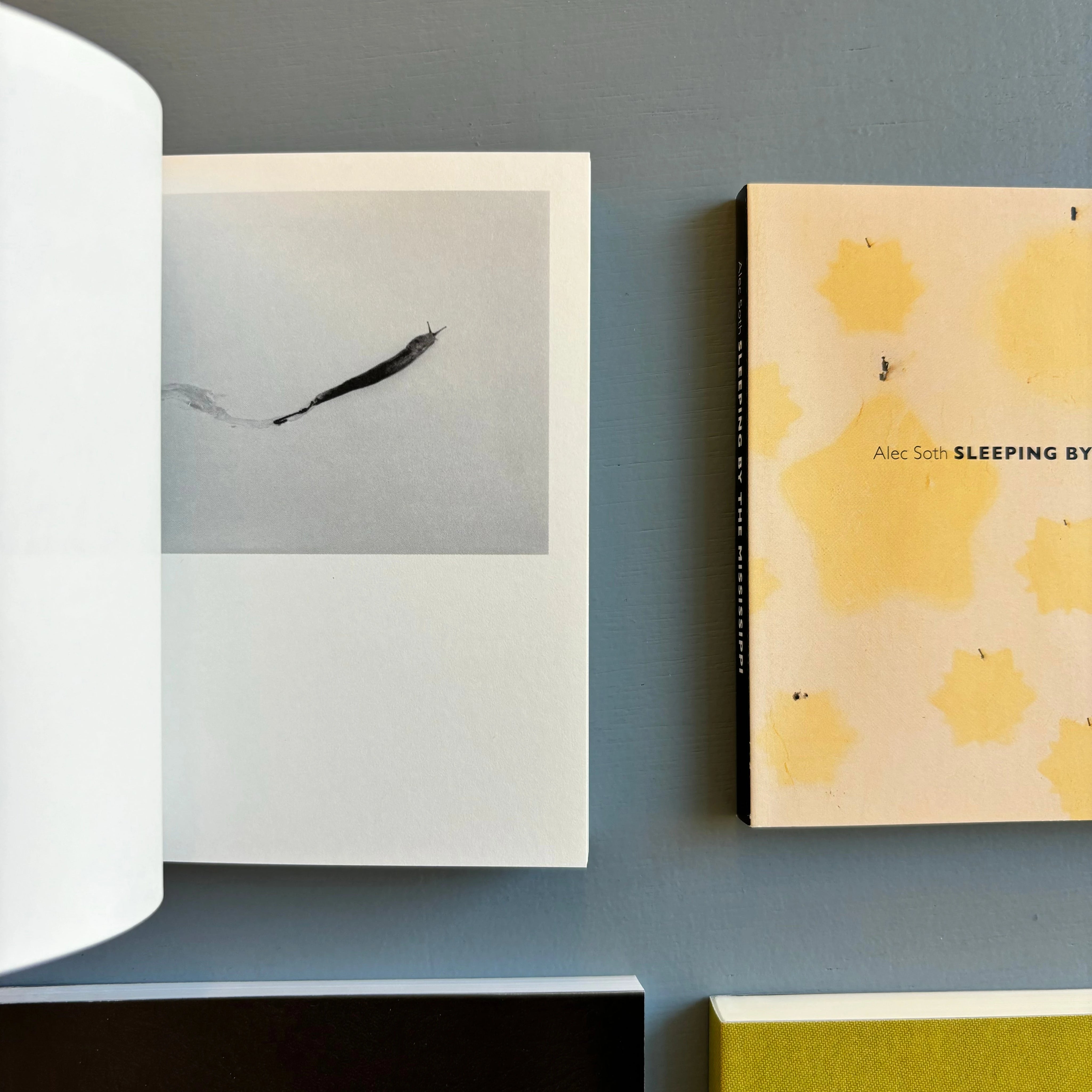 Alec Soth - Gathered Leaves - Mack 2015 - Saint-Martin Bookshop