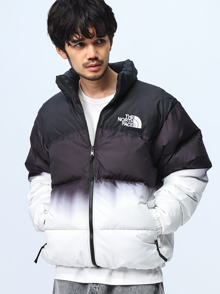 THE NORTH FACE (ザ ノースフェイス) 700フィルパワー フード収納