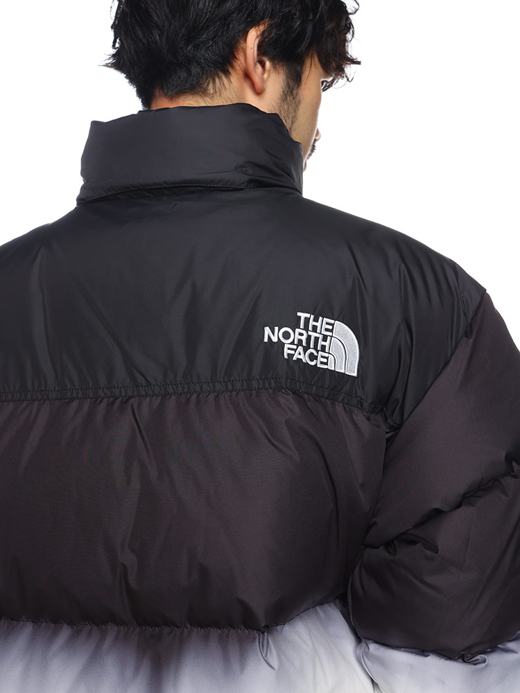 THE NORTH FACE (ザ ノースフェイス) 700フィルパワー フード収納