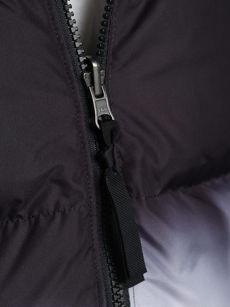 THE NORTH FACE (ザ ノースフェイス) 700フィルパワー フード収納