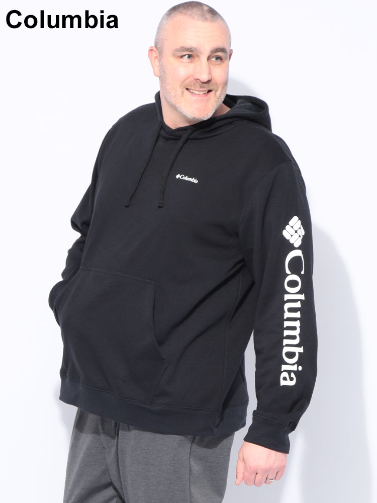 パーカー 裏起毛 スリーブロゴ プルオーバー トップス フード プル