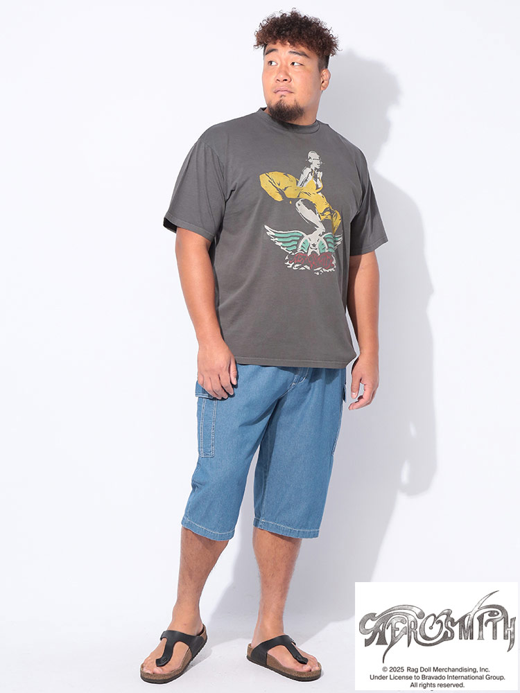 半袖 Tシャツ エアロスミス プリント バンド クルーネック トップス