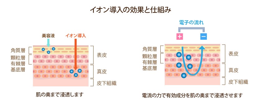 インディバ・ハイビタリオン - SALON DE HALO