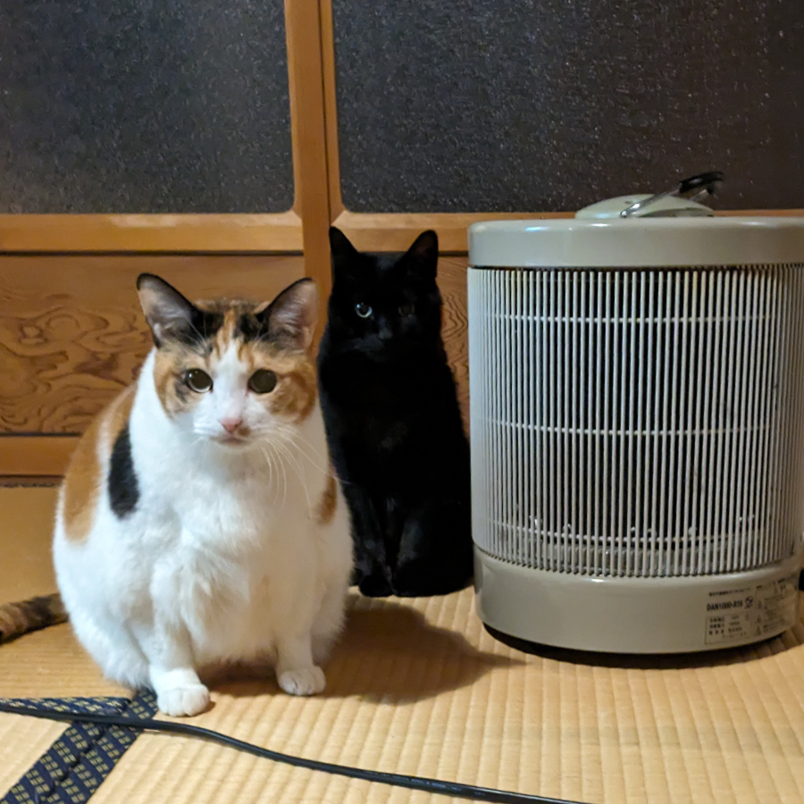 夢のような暖房器具『夢暖望・暖話室』について - 皿屋敷の住人