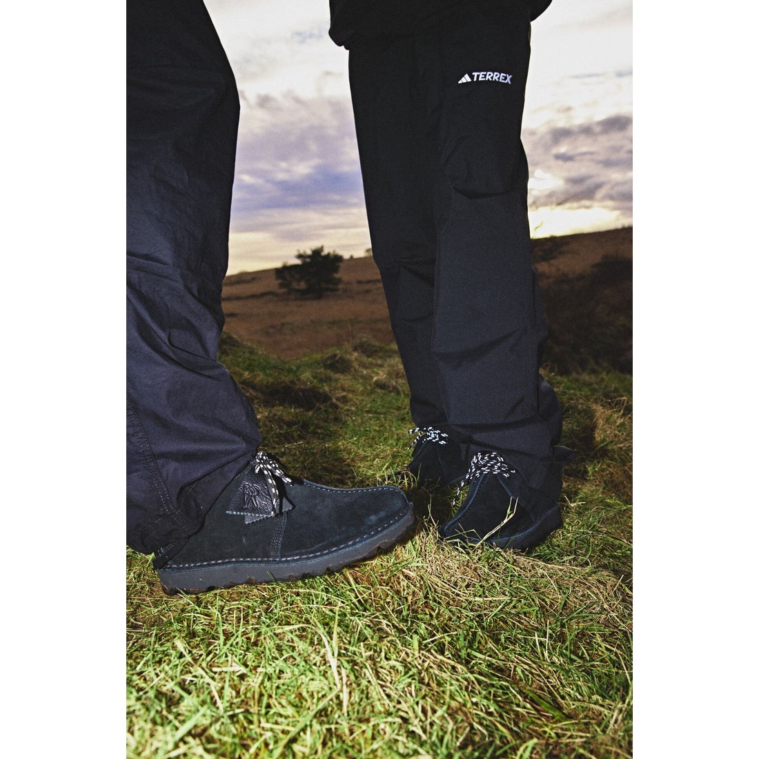 Desert TrekGTX / デザートトレックGTX （ブラックスエード） -Clarks