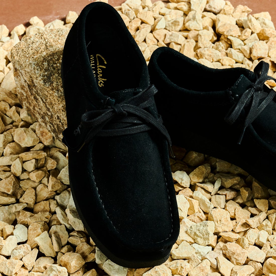 Clarks WallabeeEVO / ワラビーエヴォ （ブラックスエード） -靴