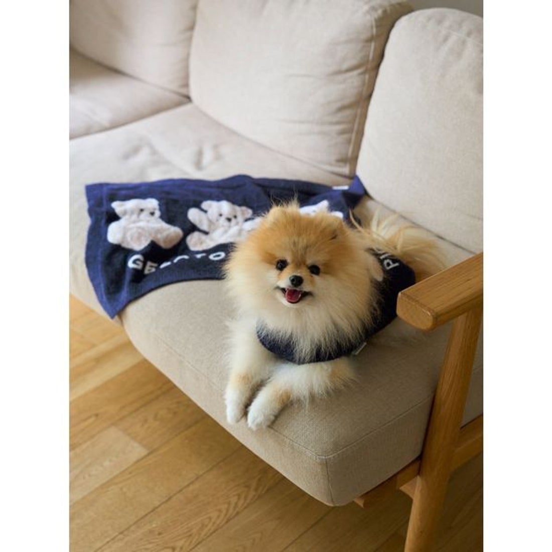 ジェラートピケ gelato pique 【CAT&DOG】ベアジャガードブランケット