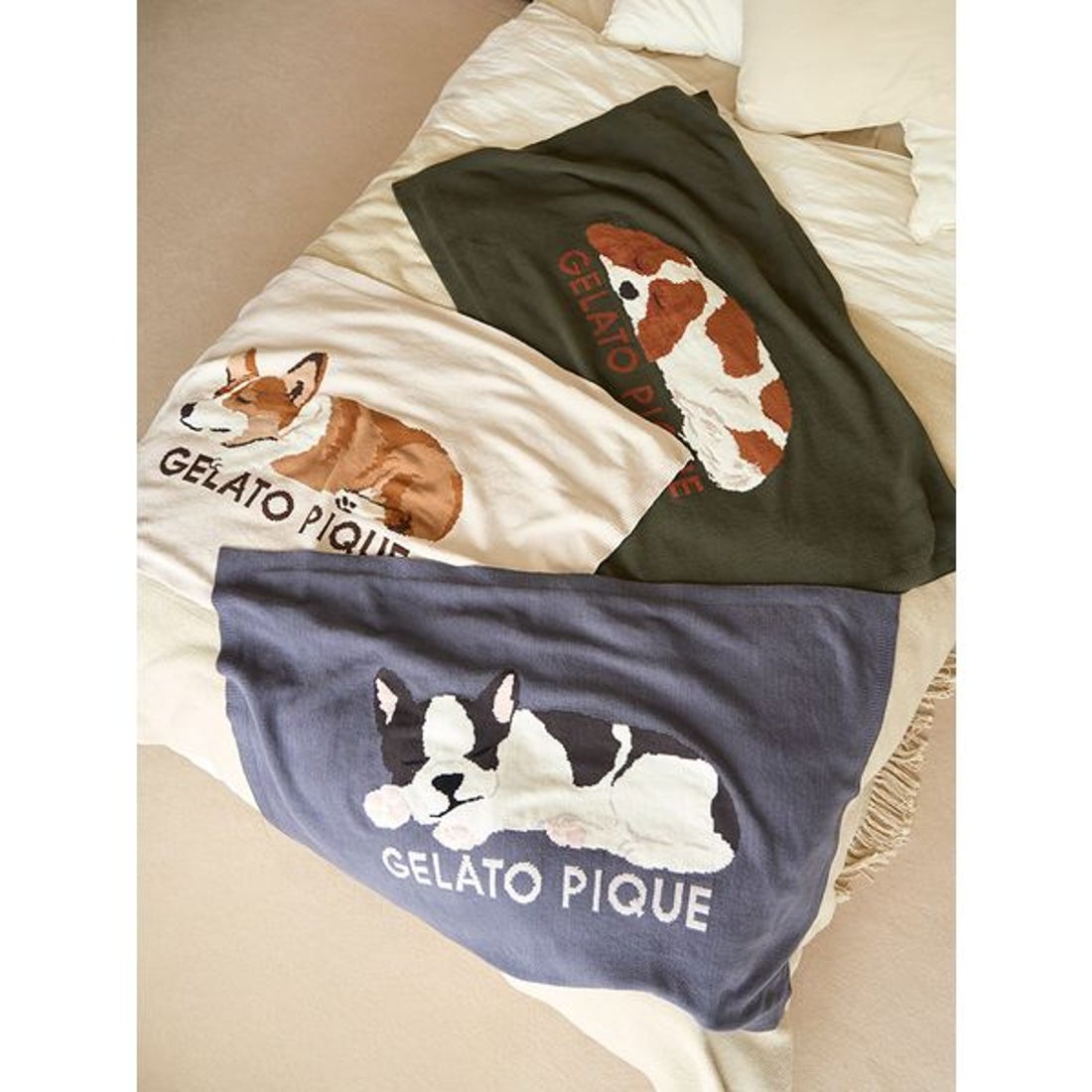 ジェラートピケ gelato pique SLEEPING DOG ジャガードブランケット