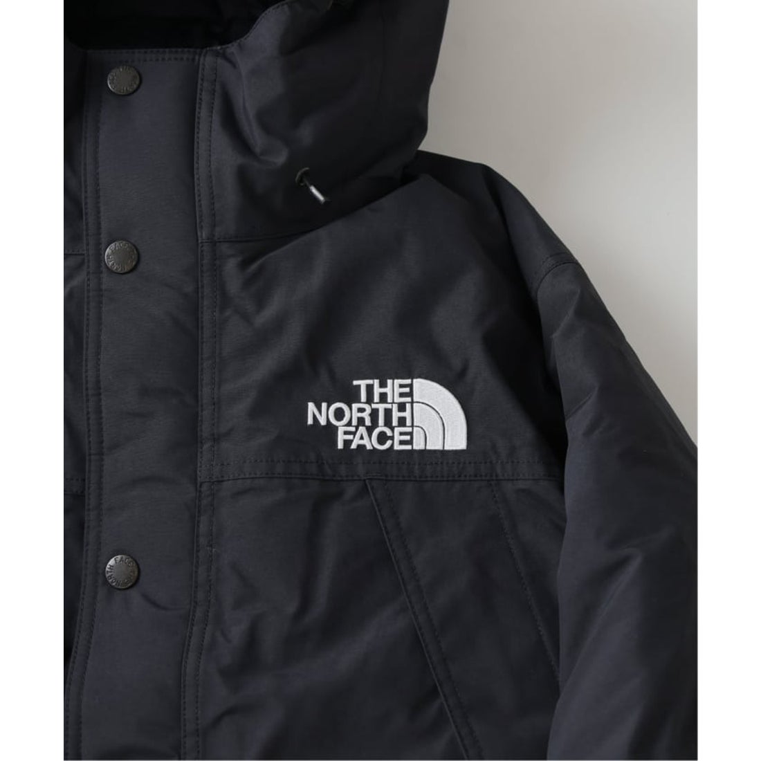 エディフィス EDIFICE 《予約》THE NORTH FACE (ザ・ノースフェイス