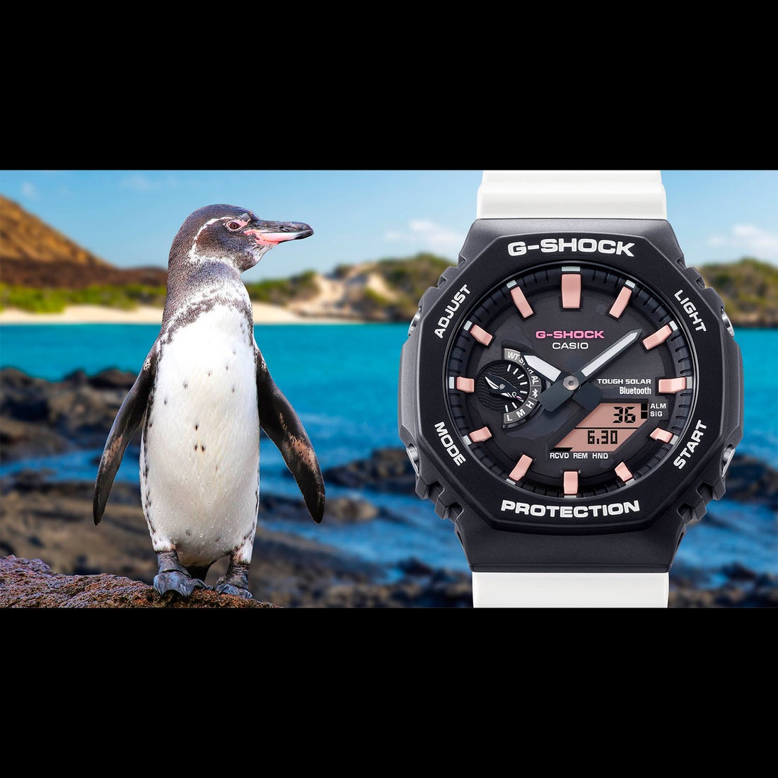 G-SHOCK 新品 2017 広島カープ G-SHOCK 10周年 GD-X6900 2017年限定 広島