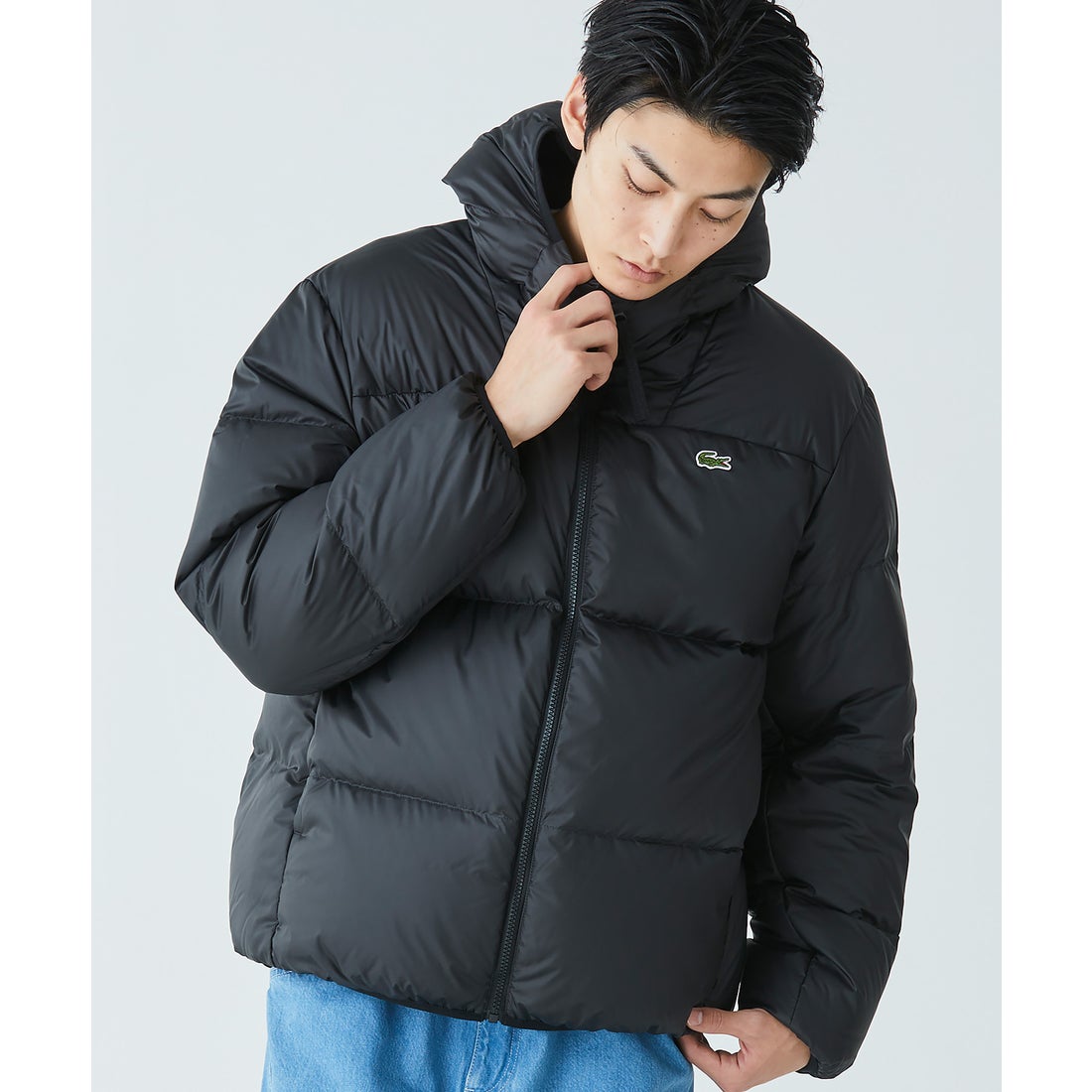 ラコステ LACOSTE バックステッチダウンジャケット（ダークネイビー