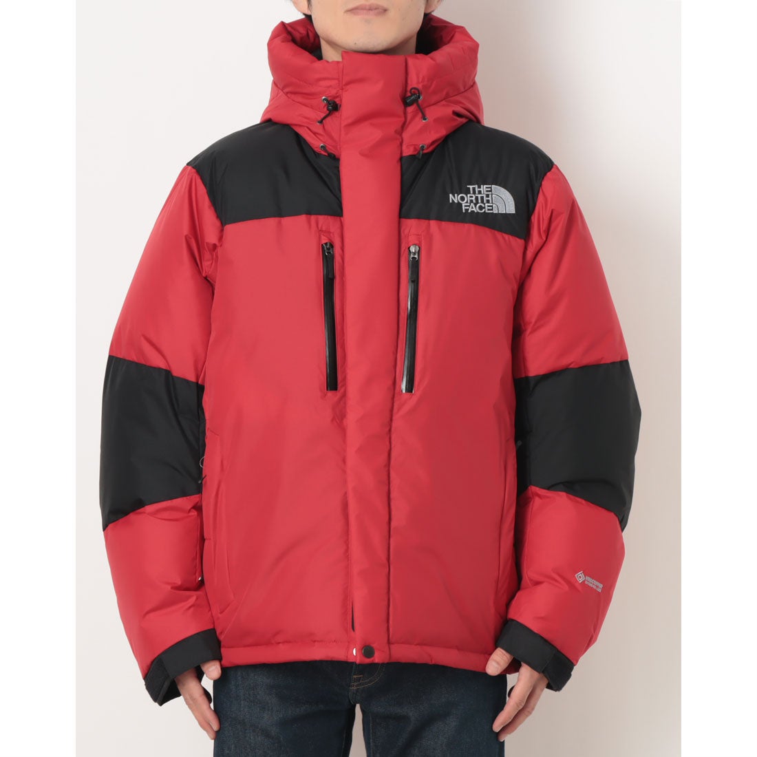 ザ・ノース・フェイス THE NORTH FACE メンズ アウトドアカジュアル