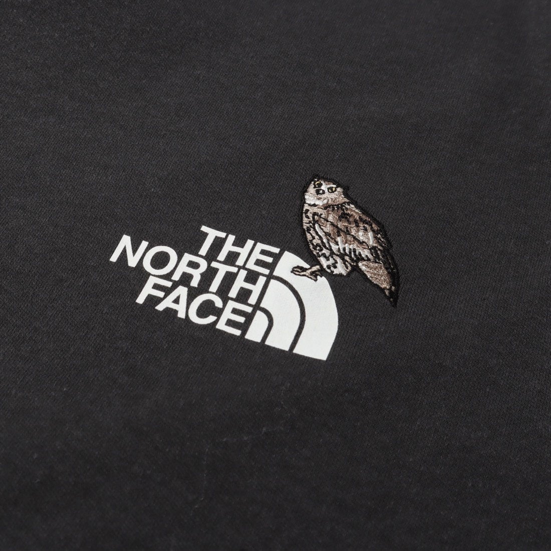 ザ・ノース・フェイス THE NORTH FACE アウトドアカジュアル 長袖T