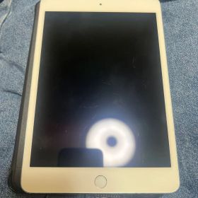 iPad mini 4 7.9(2015年モデル) 新品 5,109円 中古 4,500円 | ネット最