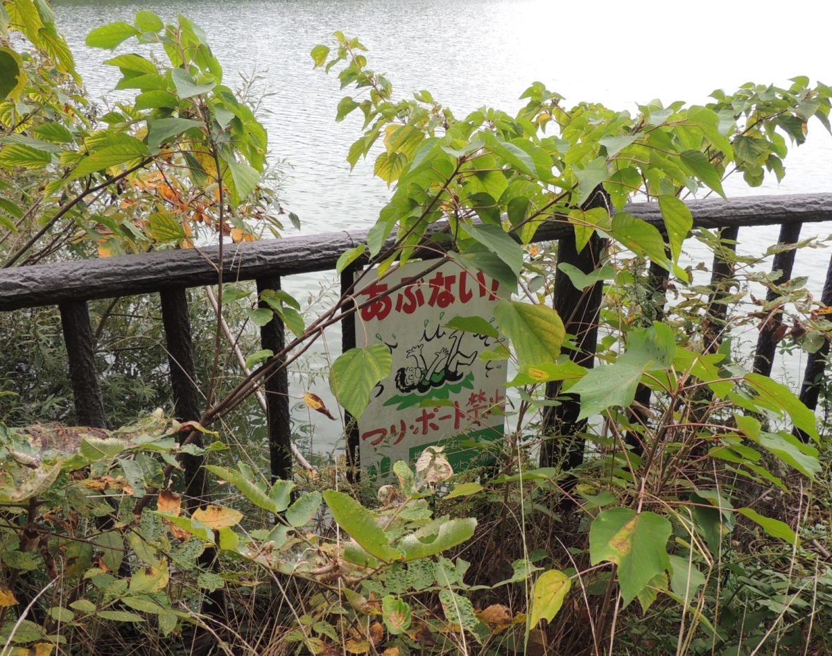 写真アルバム「堺市の130年」（続報です）｜泉北・金剛さやまコミュニティ