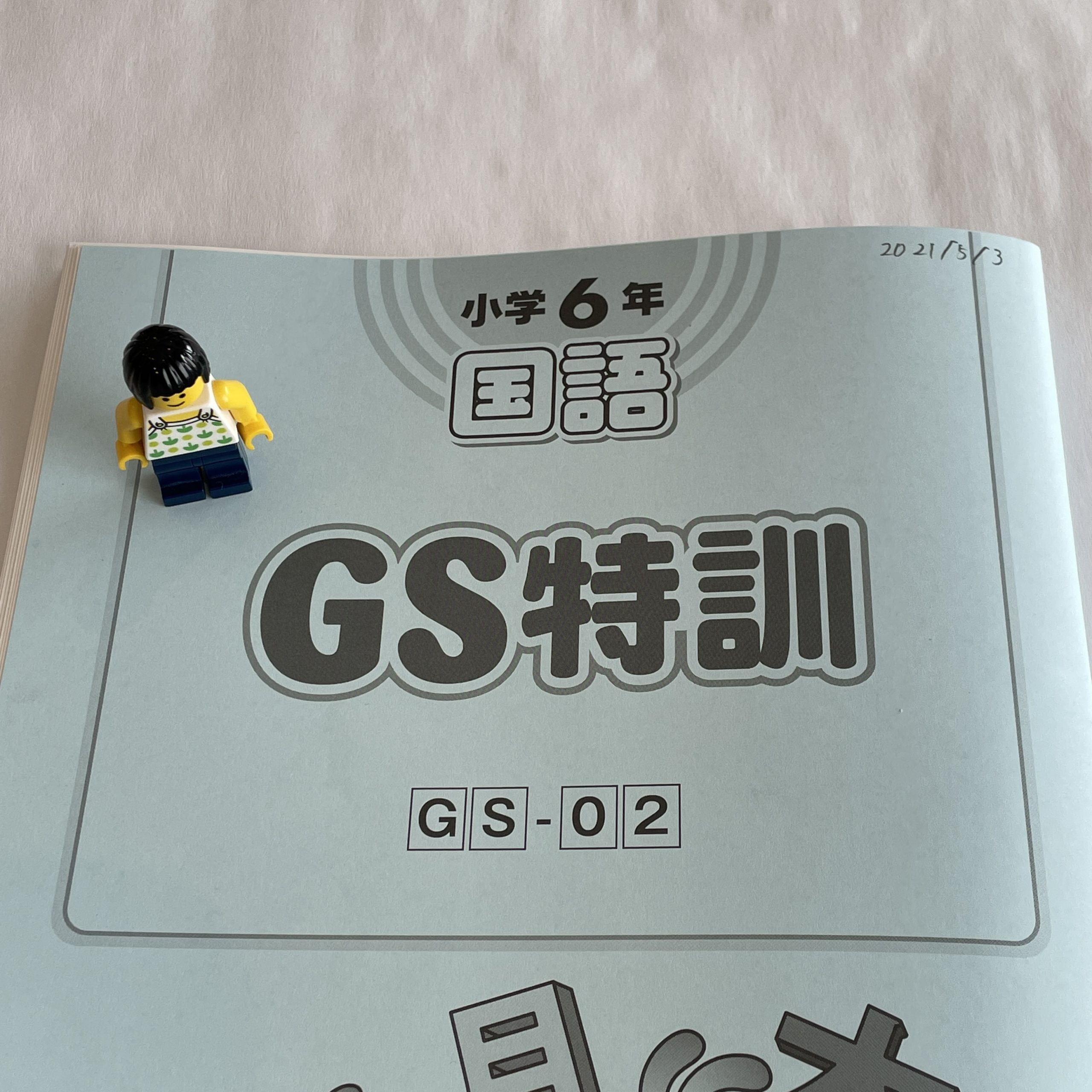 小6/サピックス：GS特訓（1日目の結果） | 『戦記』