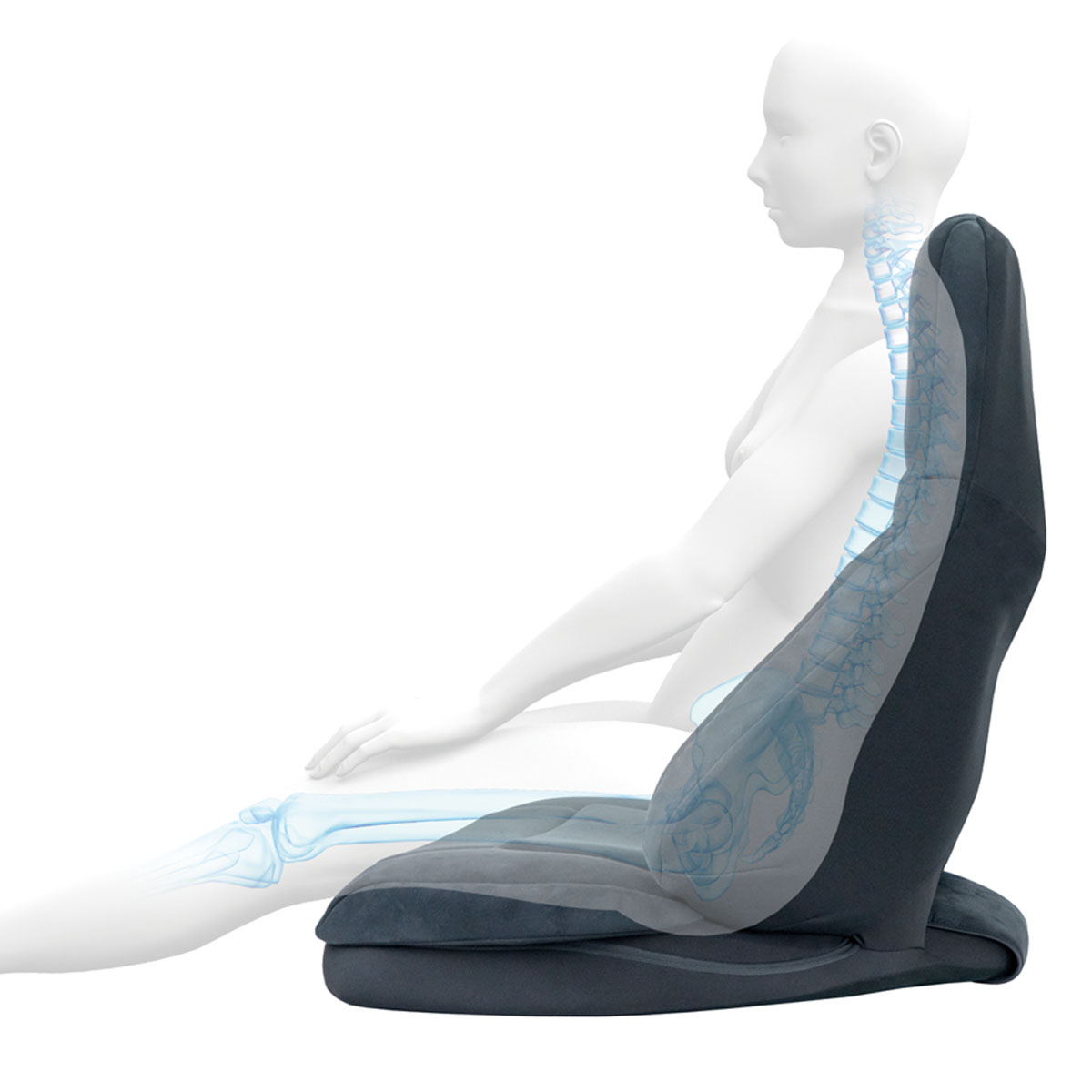 ハグ床座LXマイスター