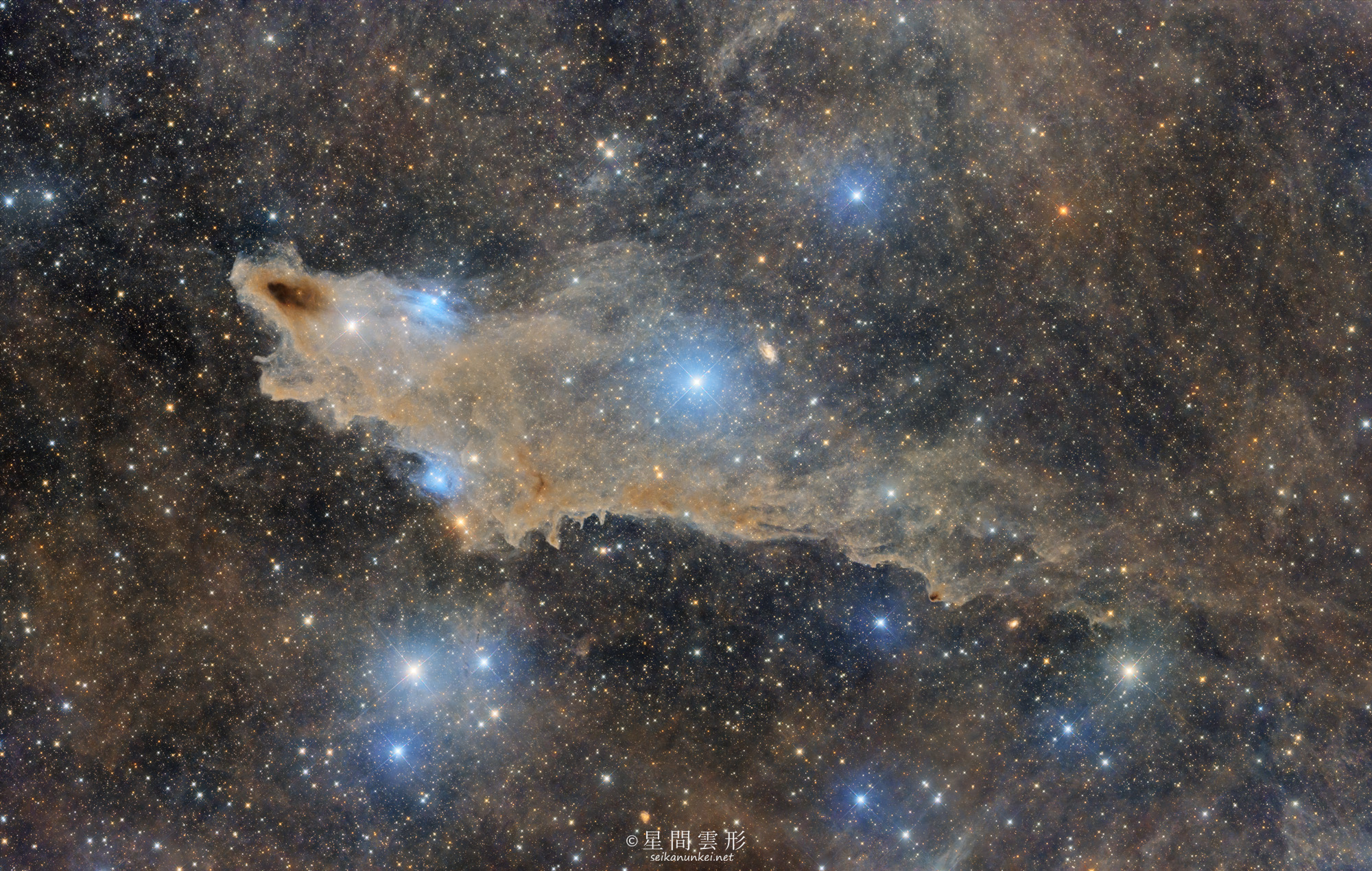 LDN1235(Shark nebula) - 星間雲形 - SEIKANUNKEI.NET