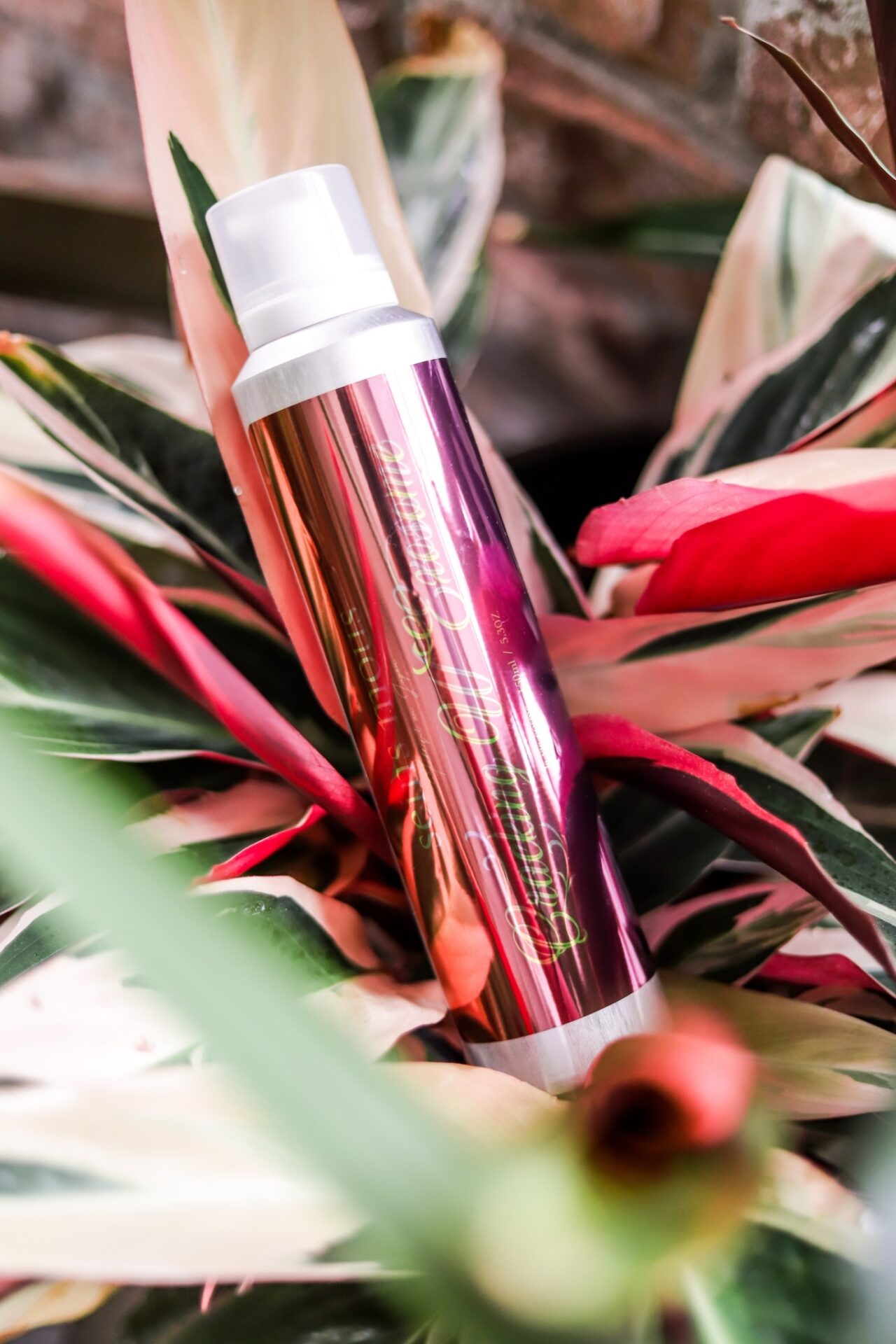 セインムーからエクソソーム炭酸ガス化粧液を発表。2種のエクソソーム