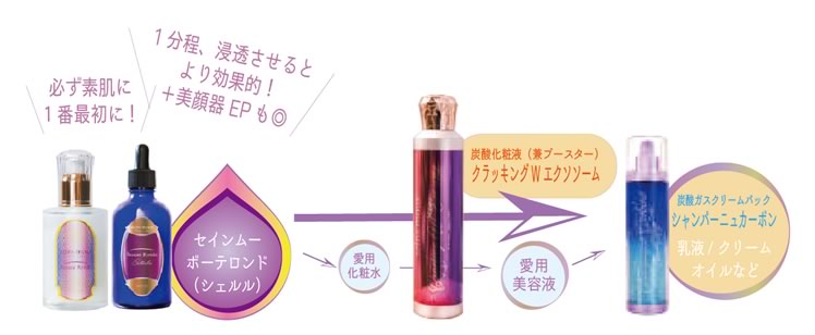 シャンパーニュ・カーボン | 【公式】seins mous（セインムー