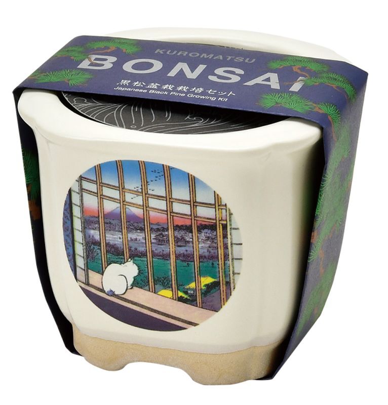 JAPANESE BONSAI｜和モダンの人気な栽培キット。インテリアにぴったり