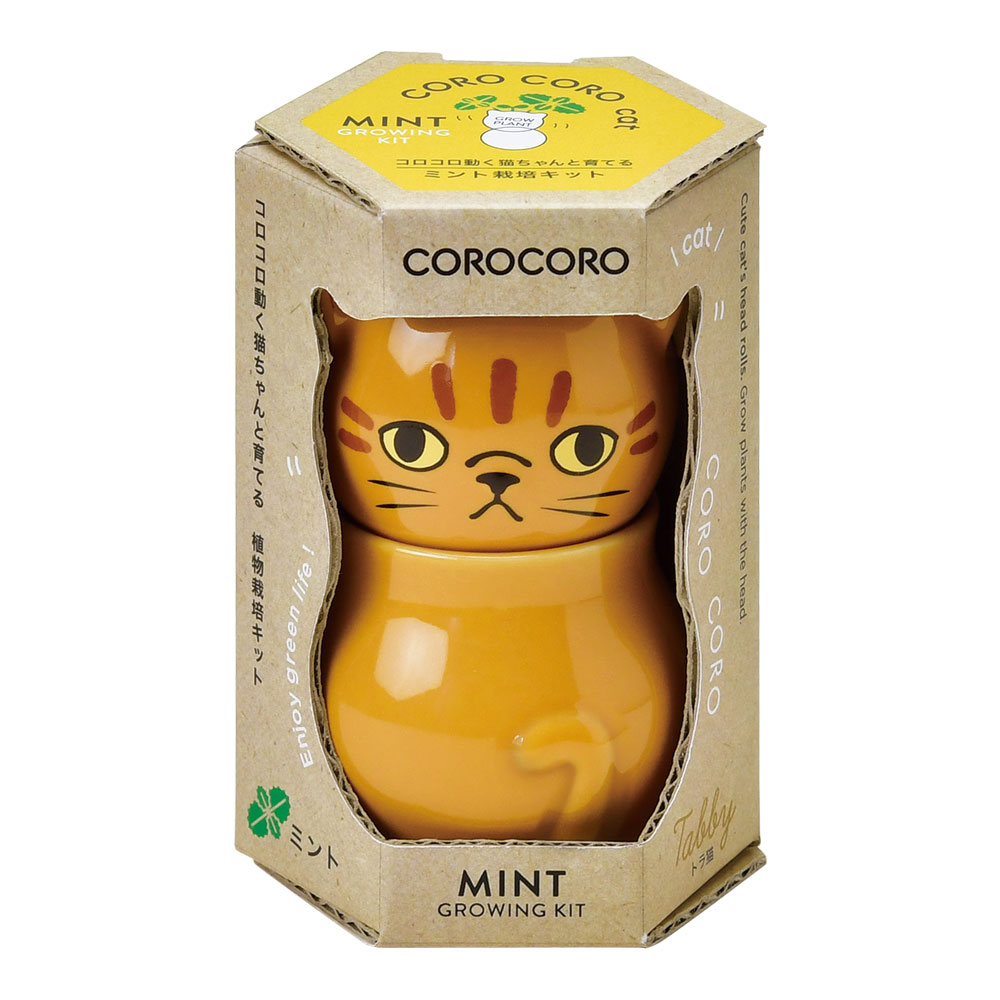 COROCORO cat コロコロキャット｜目線を変えて表情の変化を楽しむ猫の