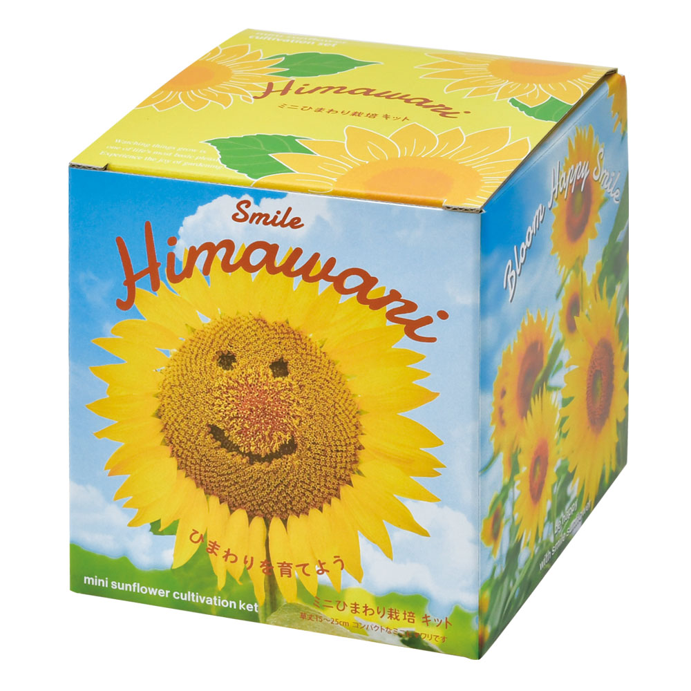 Smile Himawari ミニひまわり栽培キット｜初心者向けフラワー栽培キット