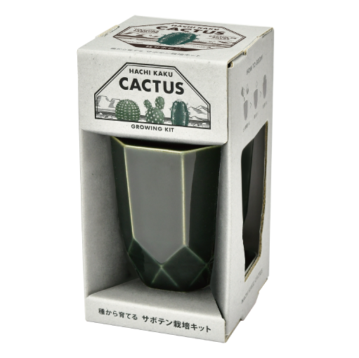 HACHI KAKU CACTUS - 聖新陶芸株式会社｜栽培キットの企画・製造・販売