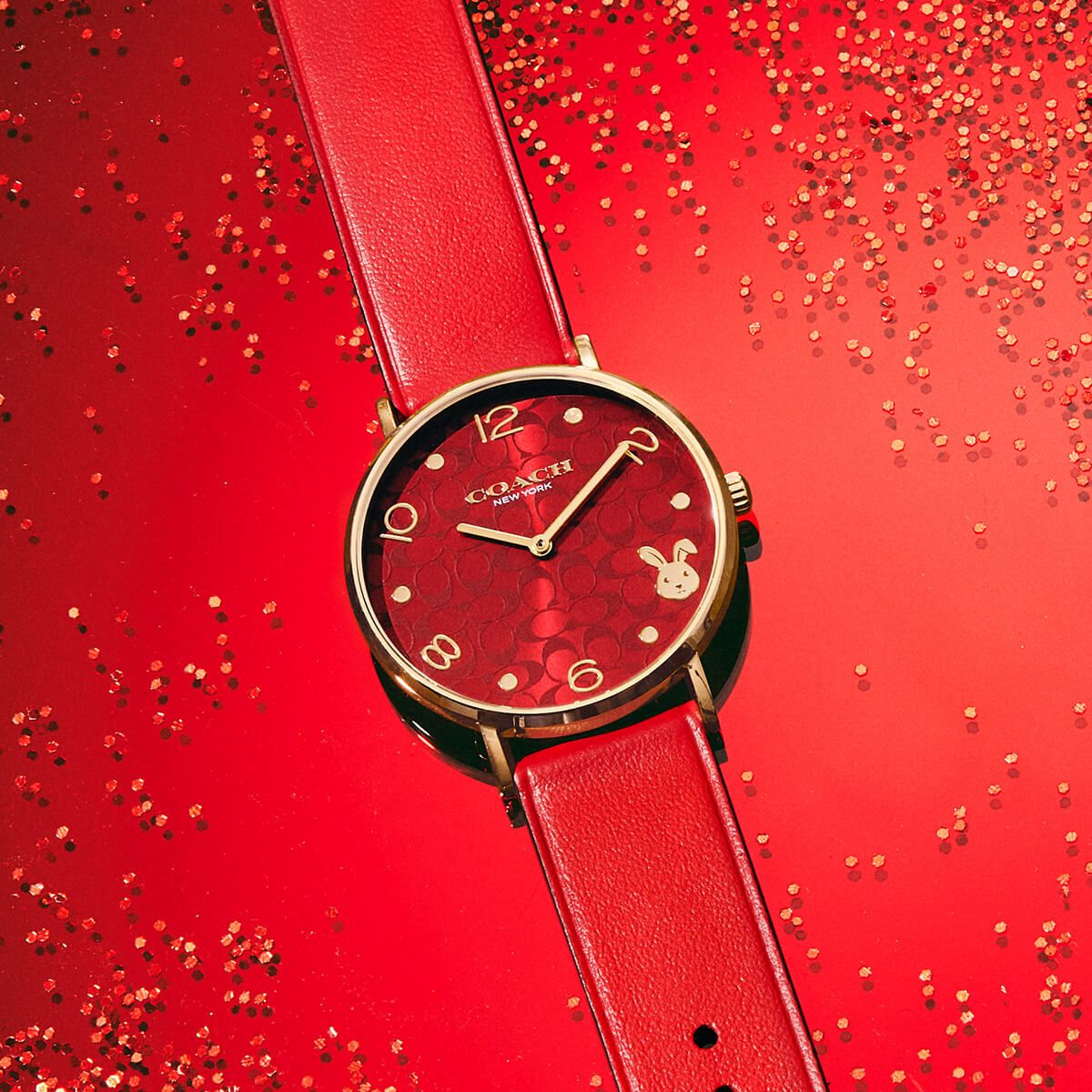 COACH】限定50本うさぎの時計🐰 - H°M'S
