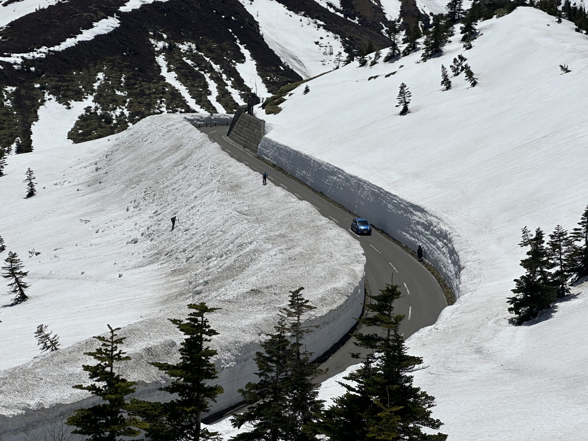 残雪('68日活) 残雪('68日活) 志賀草津高原ルート 雪の回廊の様子 2025年4