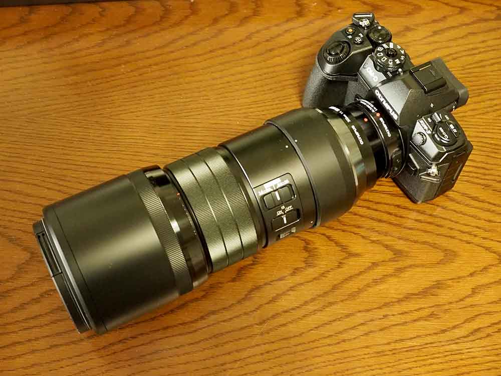 野鳥撮影でE-M1 Mark2とED300mm f4 IS PROの実力は1週間で体感できる