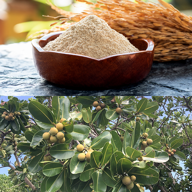 NEROLILA（ネロリラ）アースマスク 65g