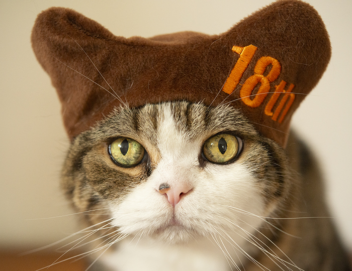 まるさん18才！ Maru is 18 years old! | 私信 まるです。