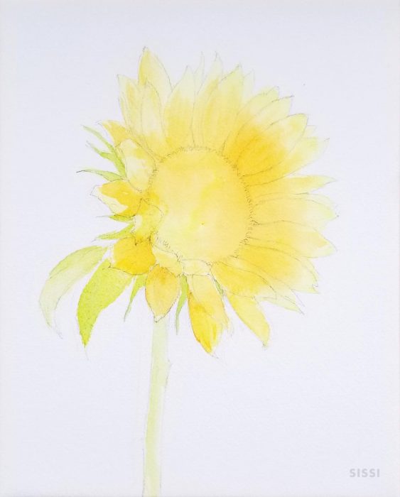 透明水彩で描くヒマワリ - 横浜のアートスタジオ／Sissi（シシ）
