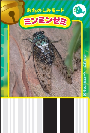 お詫びと訂正】『小学一年生』5・6月号 101ページに誤りがありました