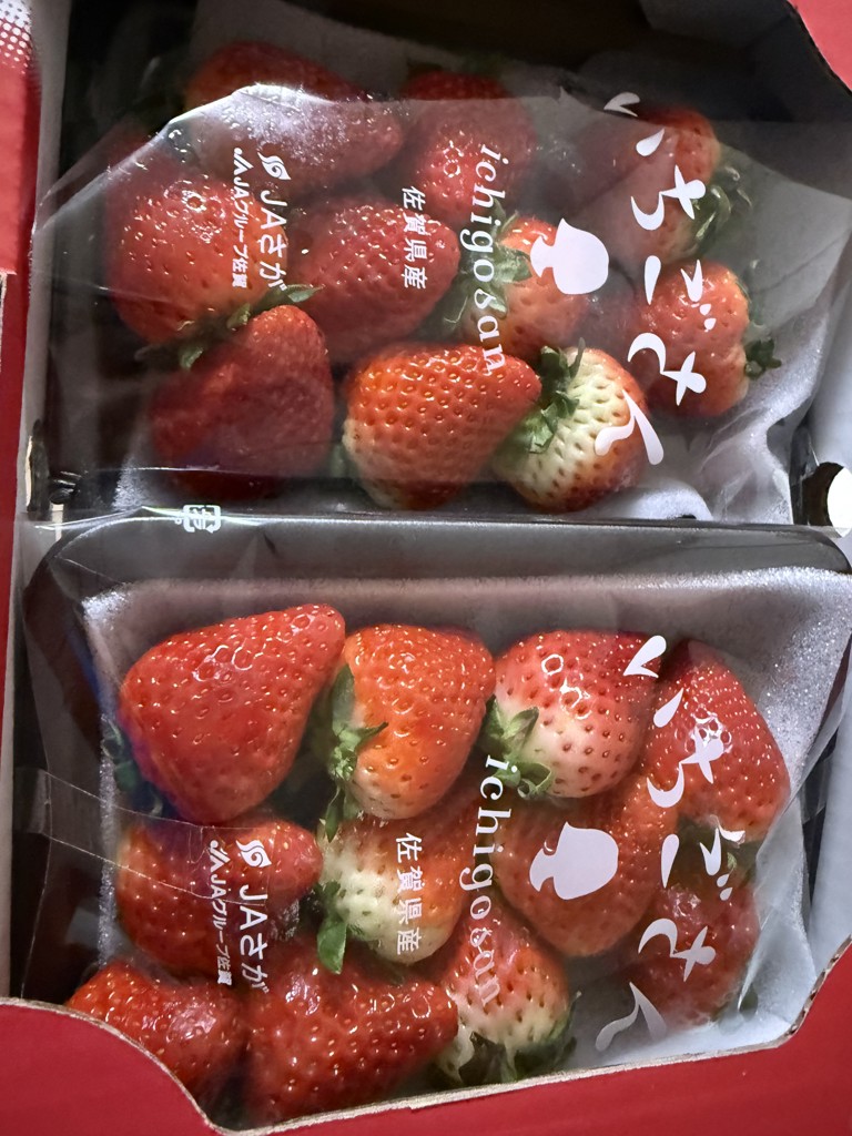 佐賀県産 いちごさん 約240g×2パック: さが風土館 季楽|【JAタウン