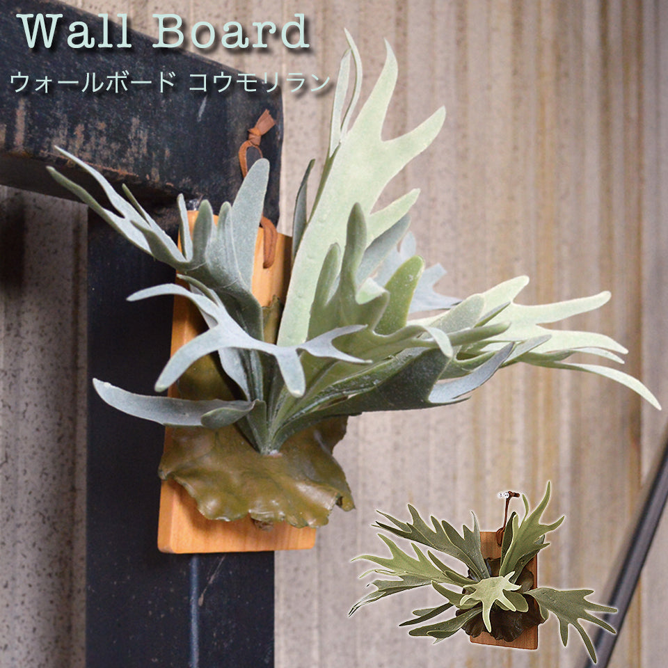 壁掛け コウモリラン インテリアグリーン 光触媒加工 造花