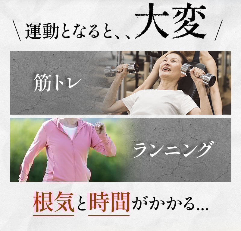 ほんとに乗ってるだけ！ ブルブルボーテ プレミアム | 日テレポシュレ