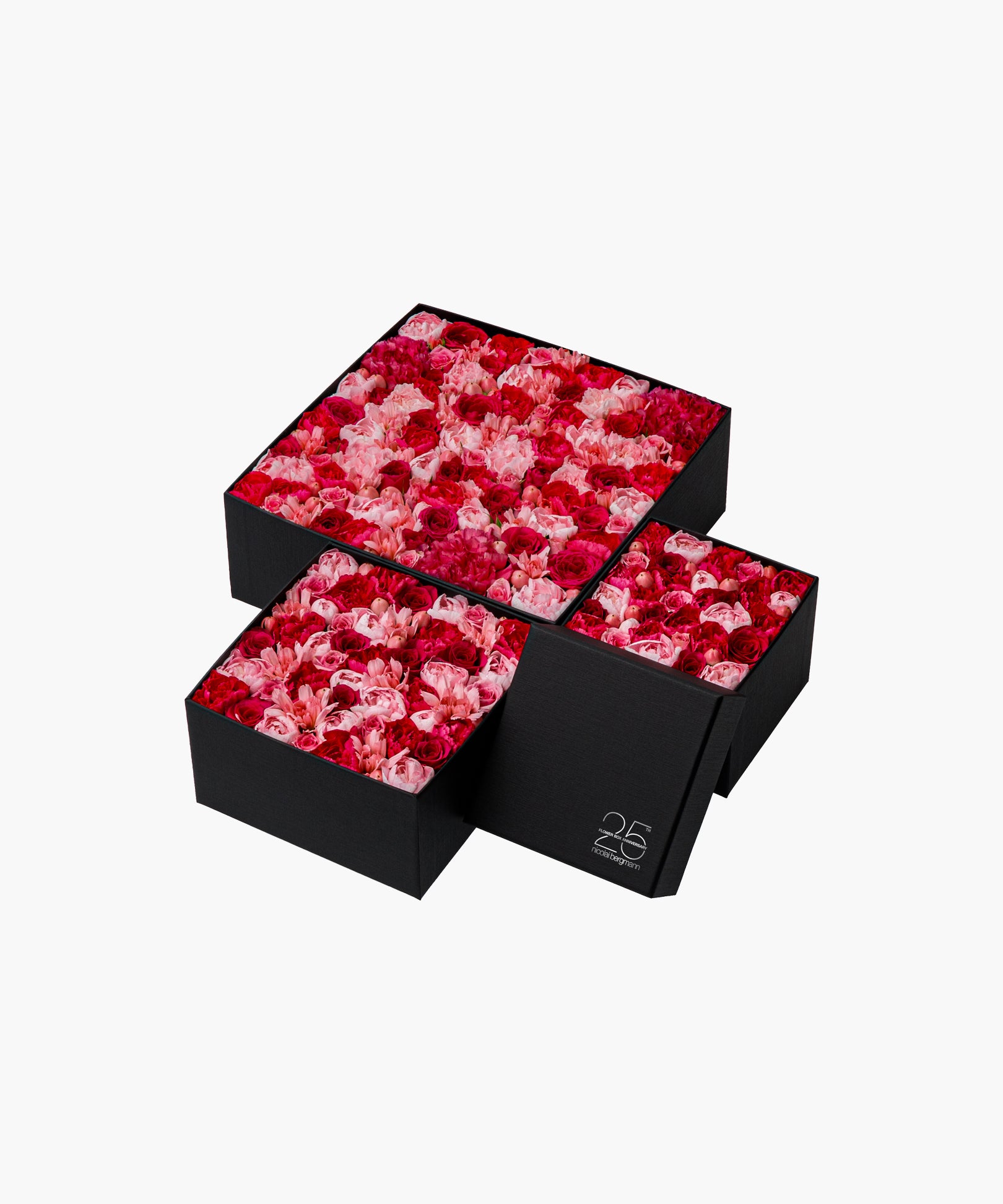 Colorful Journey (カラフル ジャーニー)