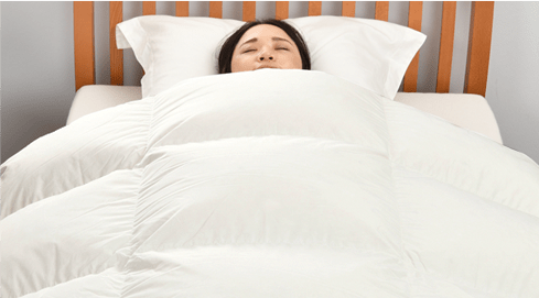 nishikawa（西川）公式ショップ限定】ハイクオリティ羽毛掛けふとん