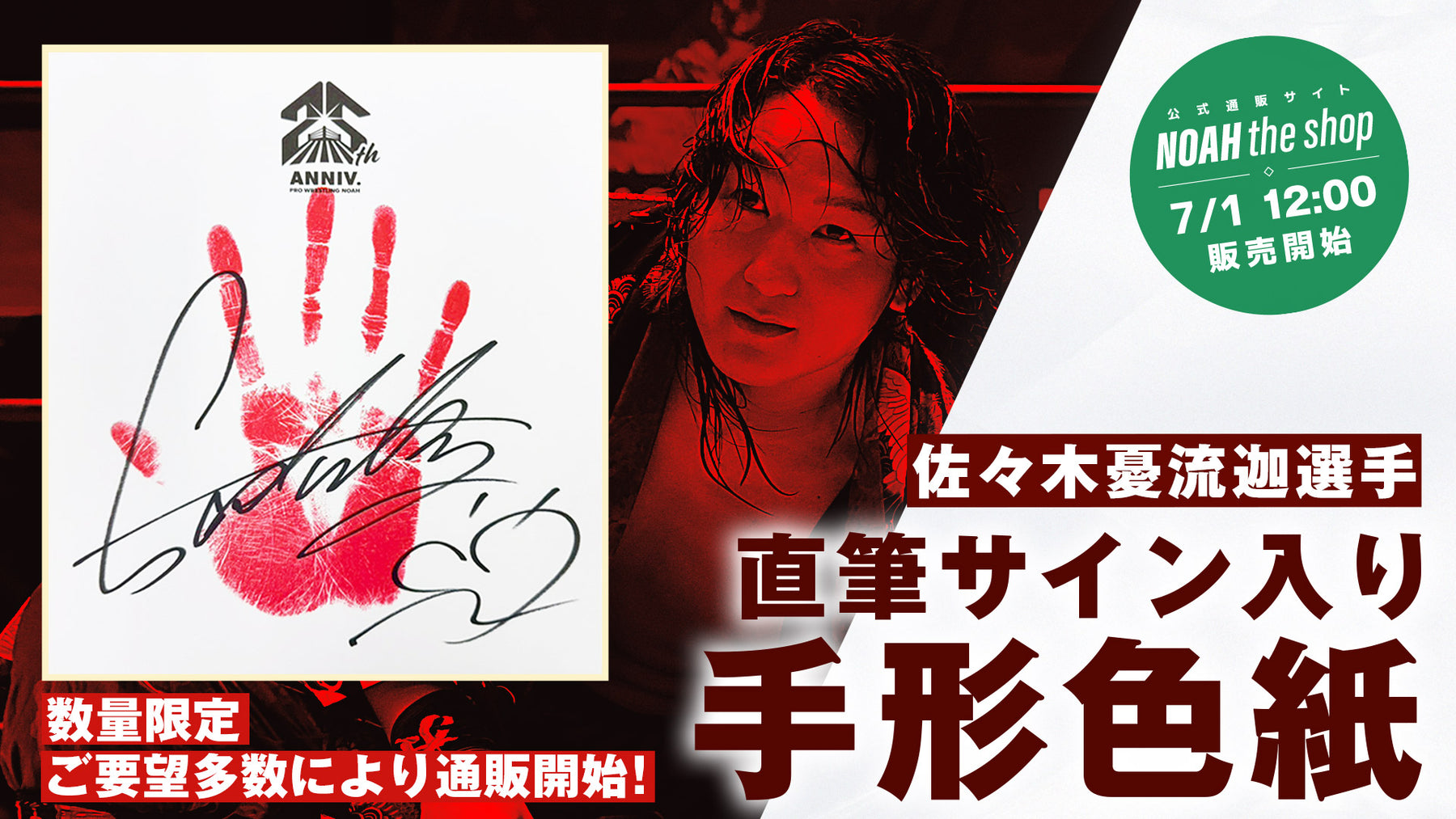 数量限定】選手直筆サイン入り手形色紙