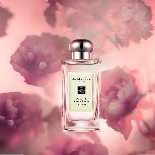 ピオニー＆ブラッシュ スエード コロン（50mL）|母の日ギフト