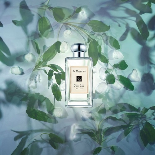 ウッド セージ＆シー ソルト コロン（50mL）|母の日ギフト