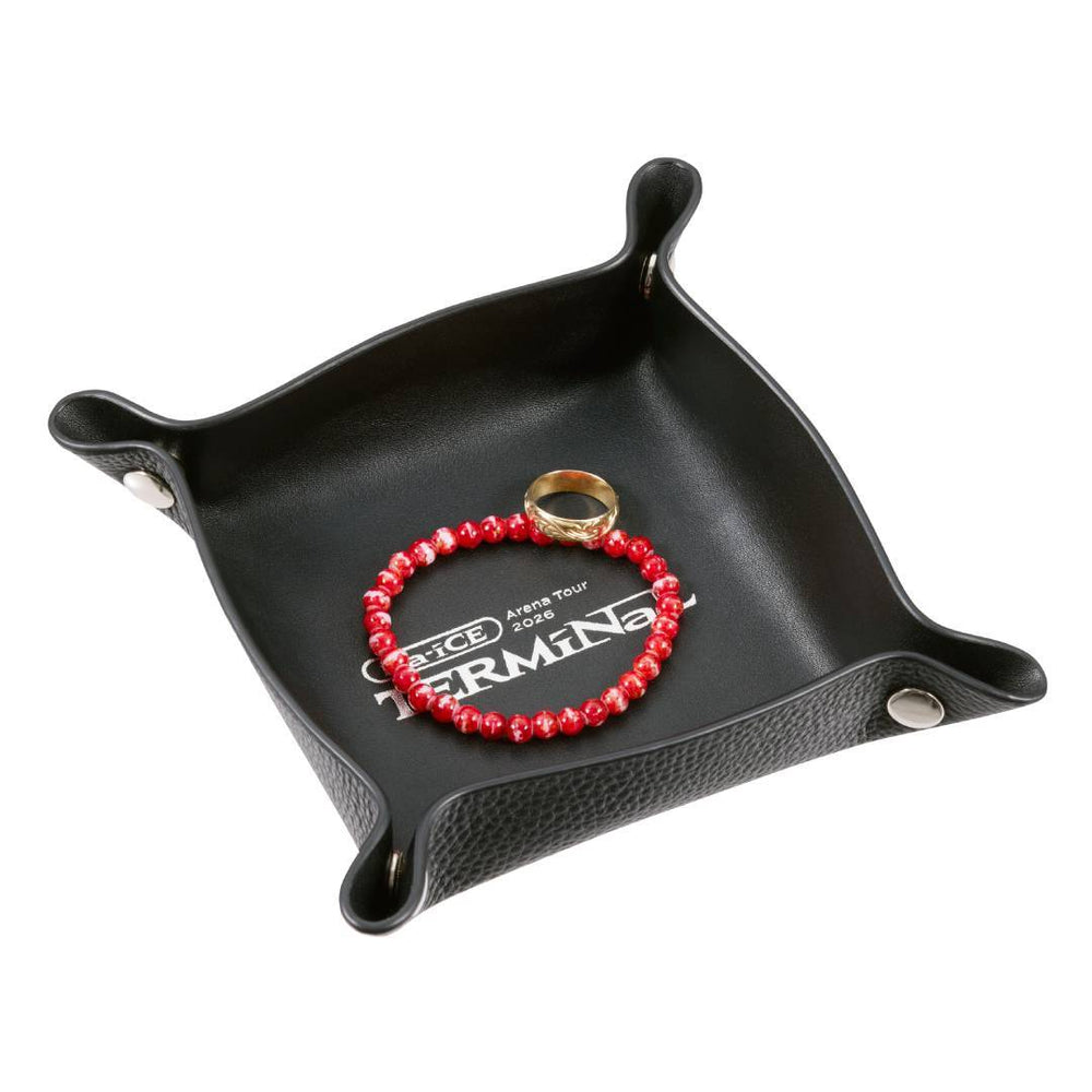 Da-iCE ARENA TOUR 2026 -TERMiNaL- GOODS – Da-iCE OFFICIAL SHOP