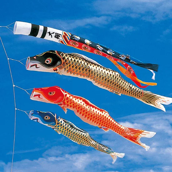 6M 江戸錦鯉瑞祥吹流付三色セット 281450円 | 大進オンラインショップ