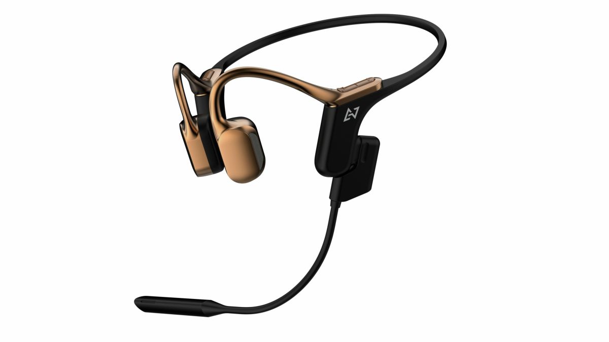 AVIOT WB-E1M 指向性ECMブームマイク同梱モデル