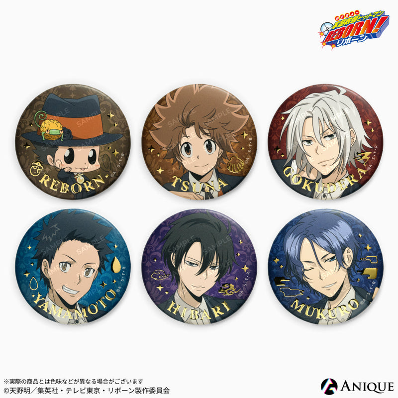 リボーン 沢田綱吉 ホログラム缶バッジ その2 J-WORLD リボーン 沢田